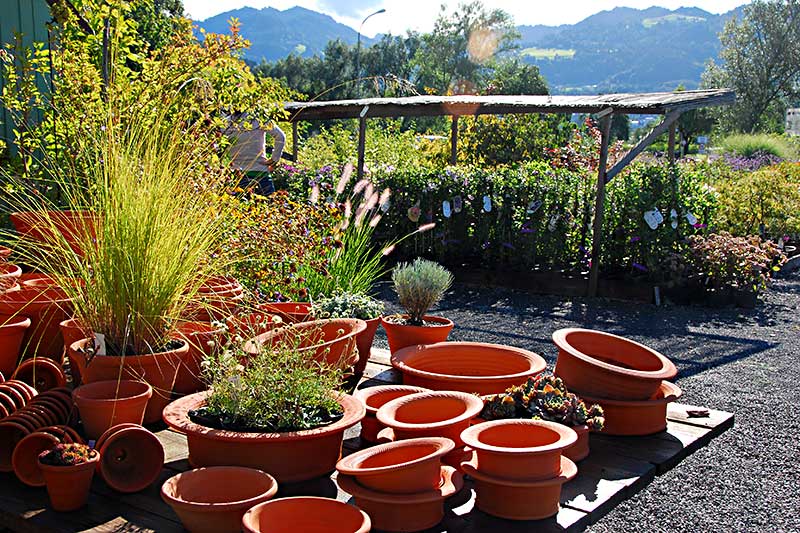 Flowerpots - frostsichere Pflanzen