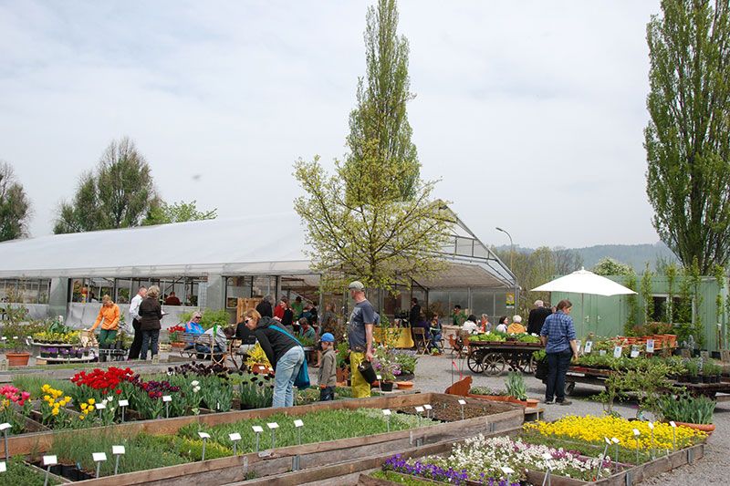 Beratung in der Gärtnerei